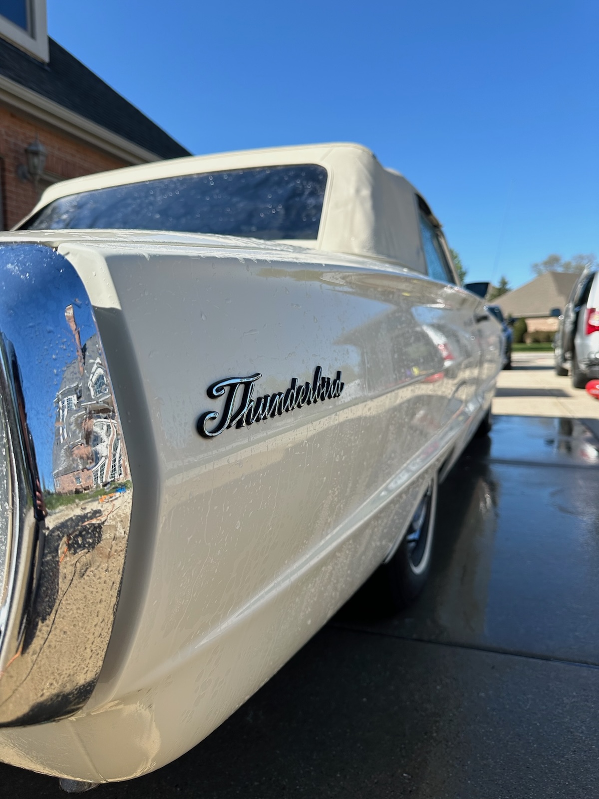 Interior detail result – stain removal and shine